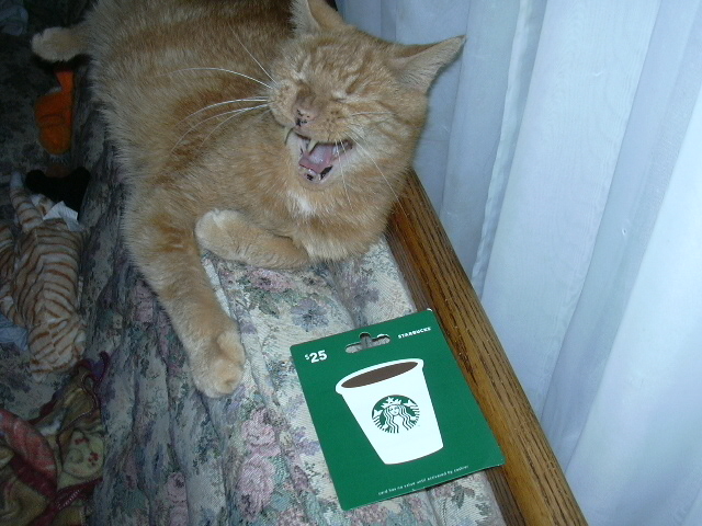Cullen helping me with the $tarbux card auction.