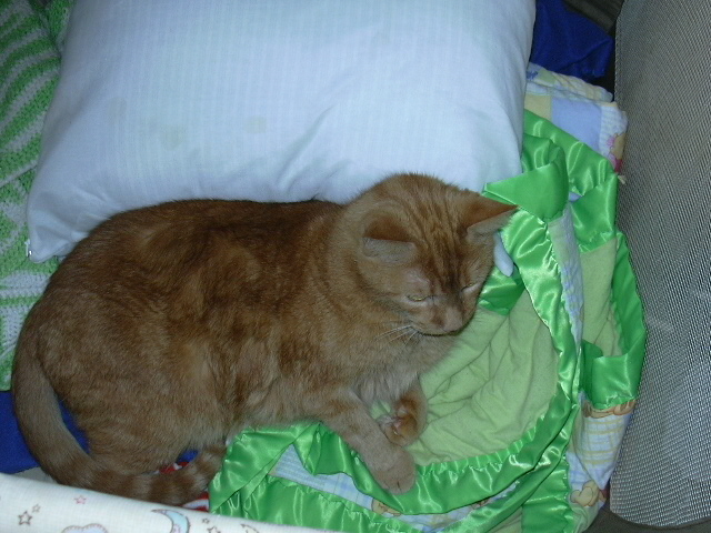 Cullen occupying the pack n' play.