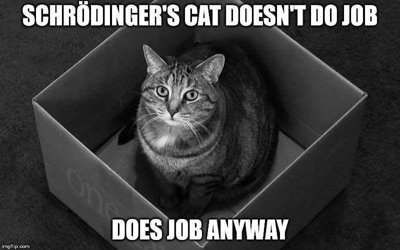 Schrodinger's cat meets Kim Davis