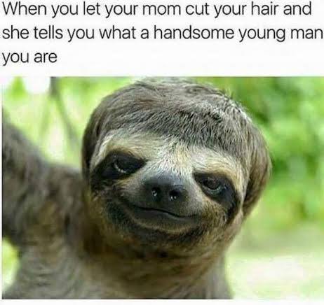 Sloth meme.
