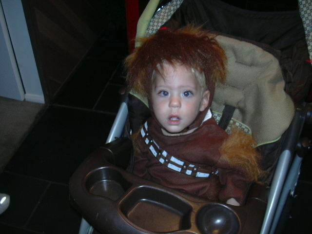 My wookie last night.