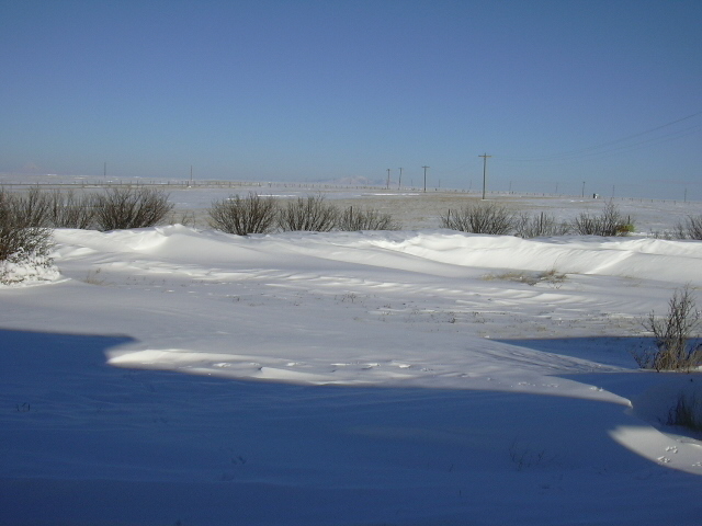 Snow in Montana in January 2009.