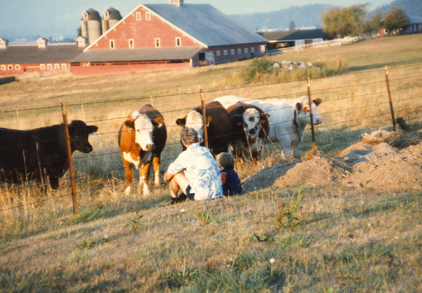 Cow-watching with my grandpa.