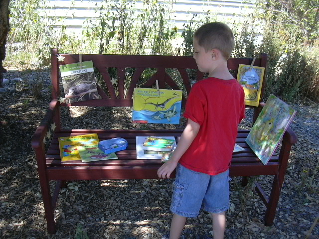 Daniel putting out the books.