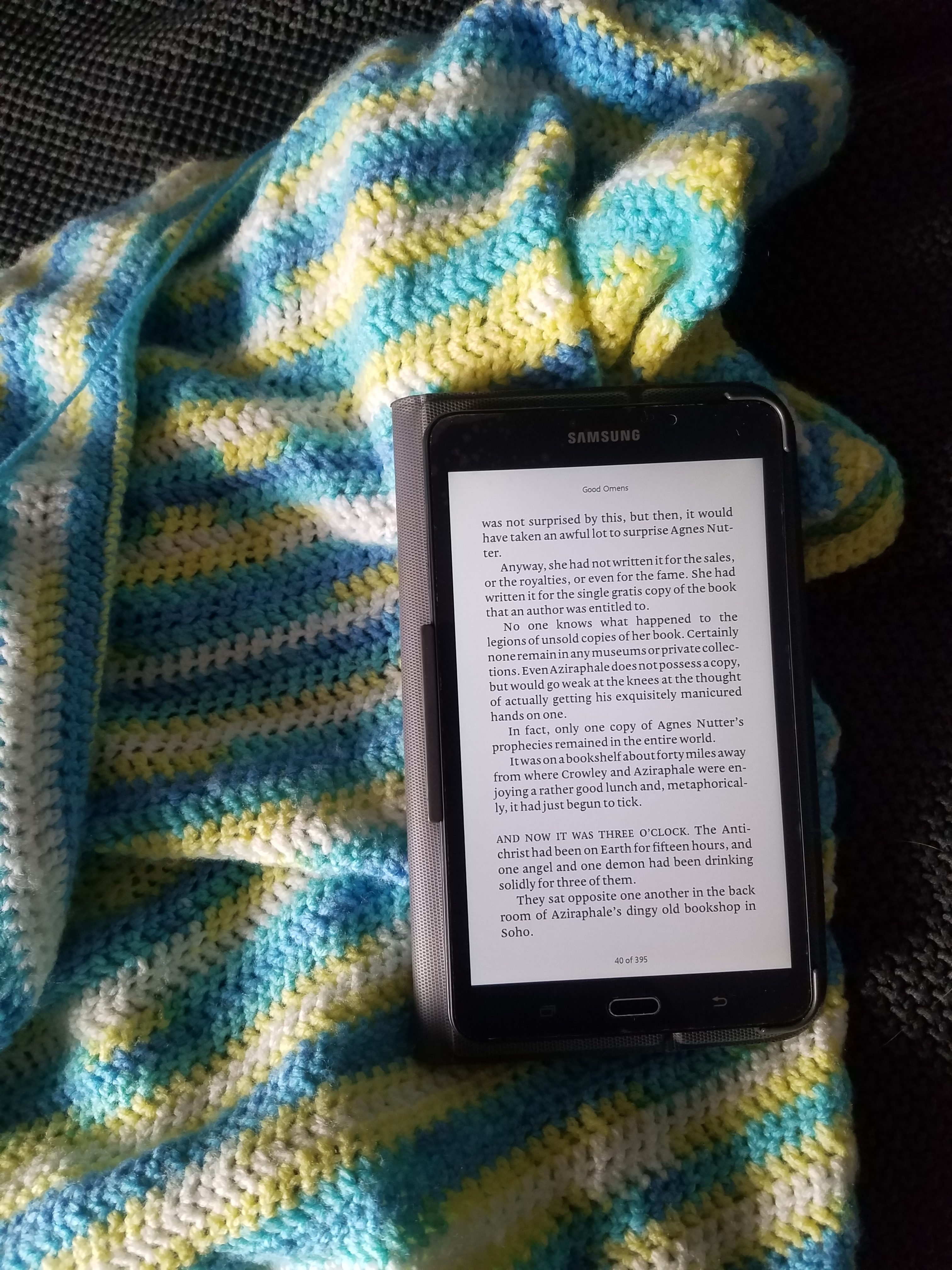 My blanket and book for this week.